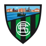 Escudo de Sestao River